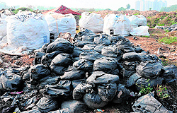 Industrial waste dumped in the riverbed in Mohali