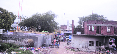 A portion of the land in Kartarpur that is in illegal possession. A Tribune photograph 