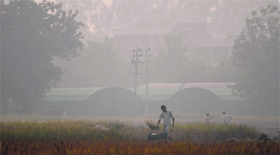 A blanket of haze covers the fields in the morning at Punjab Agricultural University in Ludhiana.