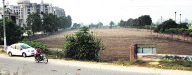 The shamlat land along the GT road at Kot Kalan village in Jalandhar. 