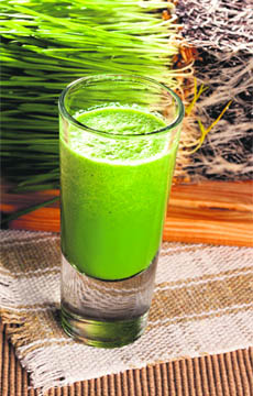 Packed with many vital nutrients, wheatgrass juice has tremendous benefits