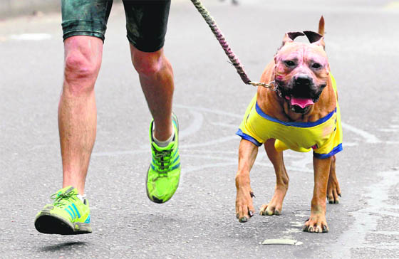 A runner takes part in The Color Run with his dog in Bogota. The Color Run is a 5-km, untimed race, held in cities across the US and also worldwide, with the aim of promoting healthy living, and to benefit a charity that organisers choose in each of the cities the run visits. Participants are doused from head to toe in different colours at each kilometre.