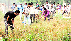 NSS volunteers clean the premises of Government Rajindra College during a camp held in the college on Sunday