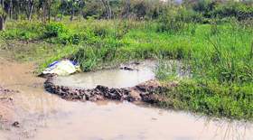 The leakage in the Phase II and IV pipeline of the Kajauli Water Works at New Morinda on Sunday.
