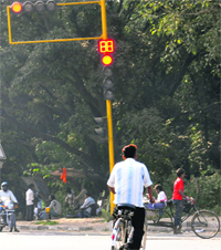 A cyclist violates traffic rules at the Sectors 25/38 traffic signal.