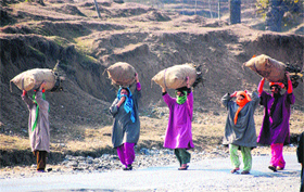 Women carrying firewood walk along a road in Pahalgam in south Kashmirs Anantnag district on Sunday.