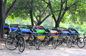 Cycle rickshaws wrongly parked in a residential area at Atawa village in Sector 42, Chandigarh, on Monday. 