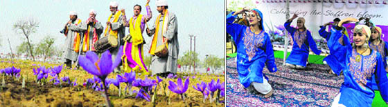 Artistes perform during the Saffron Festival in Pampore on Tuesday. 