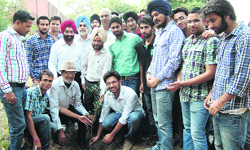 Students and faculty plant saplings at Government Medical College in Amritsar on Wednesday.