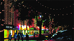 A view of the lit-up market at Sector 17 ahead of Diwali on Wednesday