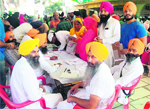 AISSF activists collect signatures in Amritsar. Tribune file photo