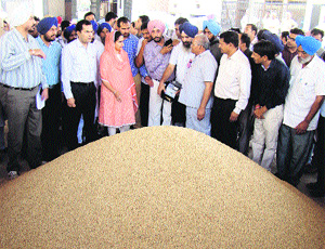 MP Harsimrat Kaur interacts with farmers and officials at Sangat grain market in Bathinda district on Friday. 