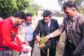 Director Agriculture, Mushtaq Peerzada inaugurates the onion seedling sale at kitchen garden of the Agriculture Department on its Lal Mandi premises in Srinagar on Friday.