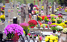 Flowers being offered on the graves of all saints in their honour on the occasion of All Saints Day in France on Friday