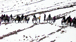 Indian traders, who had gone for Indo-China border trade, returning from Taklakot across Lipulekh pass in Pithoragarh district