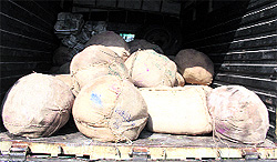 Spurious khoya that was brought for sale in Dehradun and seized by the police on Saturday