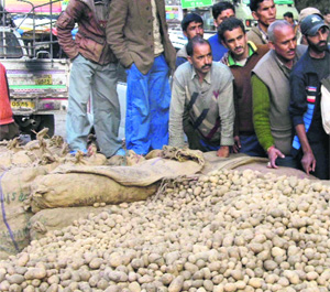 Farmers with rotten potatoes in the Yamunotri region. 