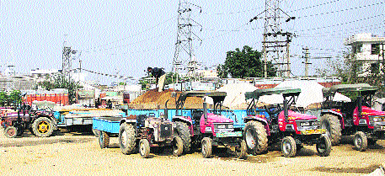 Tractor-trailers parked at a stand on the Nakodar road in Jalandhar. Photo: Sarabjit Singh