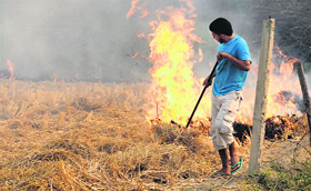 A file photo of paddy stubble being burnt