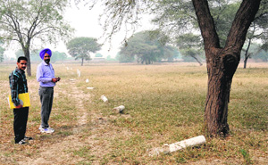 The ten acre site at Giani Zail Singh PTU campus in Bathinda where a residential school for the poor meritorious students will come up. 