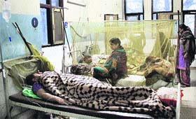 Dengue patients receive treatment at Civil Hospital, Jalandhar, on Wednesday