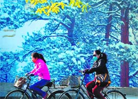 The pollution phenomenon: A woman (R) wearing a face mask rides her bicycle along a road in Beijing on Wednesday