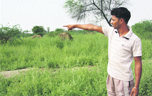 A villager points to the shamlat land, once used as a playground, in Bhagana village of Hisar.