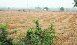 A part of Shamlat land under the occupation of land mafia in Nurdh village of Ambala district.