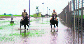 BSF men patrol along the border in Jammu.