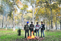 Students try to keep themselves warm by burning dry chinar leaves at Chinar Bagh in Srinagar on Friday. Tribune Photo: Amin War