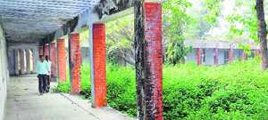 The dilapidated building of Kadamba complex