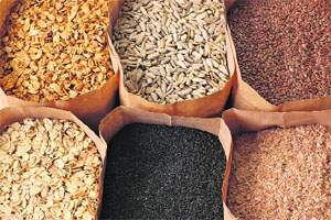 The consumption of whole grains like whole wheat, barley, oats, besides beans and legumes helps reduce cholesterol