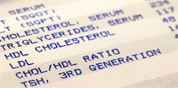 HDL (high-density lipoprotein) is the good cholesterol and LDL (low-density lipoprotein) is the bad cholesterol for the body