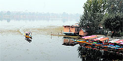 A shikara carries tourists across the Nigeen lake, once considered as the most beautiful part of the Dal Lake, in Srinagar on Sunday