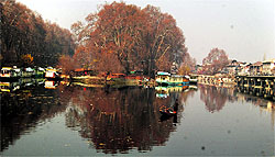 A man rows a boat in the Dal Lake in Srinagar on Tuesday