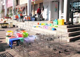 Violations at markets of Sectors 2 in Panchkula