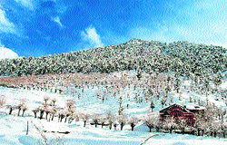 A view of the Spiti valley. A Tribune photograph