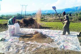 Farmers carry out agricultural activities near the Line of Control in Poonch