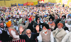 Pensioners protest during a state-level rally in Bathinda on Friday. Tribune photos: Pawan Sharma 