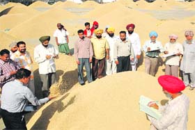 After procurement officials approve a lot, it is bought by an arhtiya on governments behalf