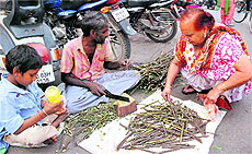 Gaghar Singh sells daatuns in Bathinda