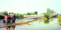 The water overflowing from a sub-canal endangers the railway over bridge on the Abohar-Fazilka stretch of the national highway. A Tribune photograph