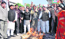 Congress activists burn an effigy of Swami Ramdev in Haridwar on Thursday. Tribune photo: Rameshwar gaur 