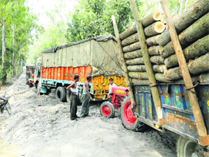 Tractor-trolleys and trucks caught in a traffic jam on National Highway 73, which is under repairs, near Kalanour in Yamunanagar. 
