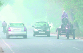 Vehicles ply amid dense fog in Amritsar on Thursday morning.