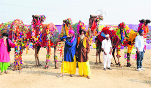 These bedecked animals were a centre of attraction at the district-level Pashu Dhan Mela held in Bathinda on Saturday.
