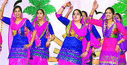 Students of Cambridge International School, Phagwara, perform at a cultural programme on the school premises on Saturday