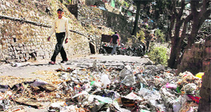 Garbage spread out of the dustbin near the bus stand in Shimla. 