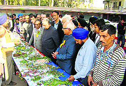 An exhibition of herbs during an Ayurveda convention in Hoshiarpur on Sunday