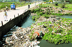 A garbage heap in Patiala on Sunday